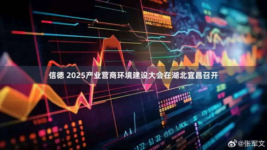信德 2025产业营商环境建设大会在湖北宜昌召开
