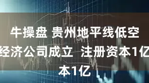 牛操盘 贵州地平线低空经济公司成立  注册资本1亿